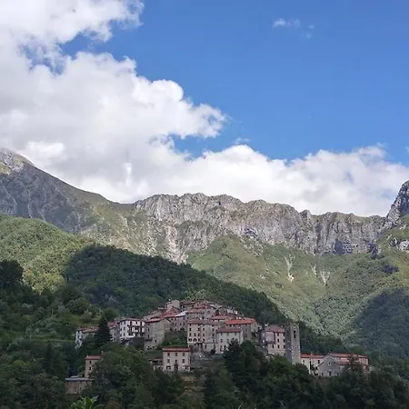 Pania Forata *